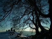 Giro ad anello da Fuipiano sulle prime nevi dello Zuc di Valbona, dei Canti e dei Tre Faggi il 24 novembre 2010 - FOTOGALLERY